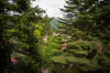 Vila Sara Sinaia | Cazare Sinaia